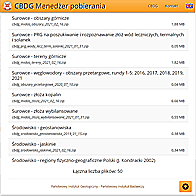 Application CBDG Download Manager